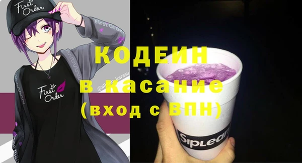 прущие грибы Абаза
