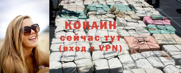 шишки Абинск