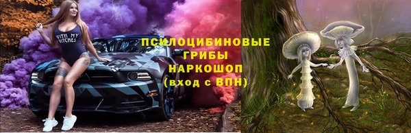 шишки Абинск
