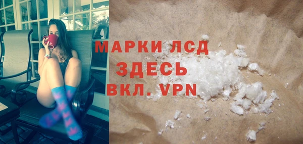прущие грибы Абаза