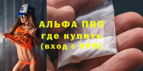 прущие грибы Абаза