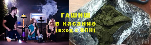 прущие грибы Абаза
