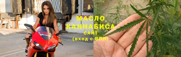 прущие грибы Абаза