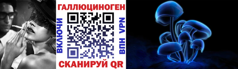 Псилоцибиновые грибы Cubensis  shop Telegram  Азов 